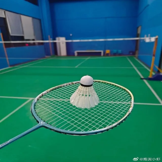 球迷查阅实时数据